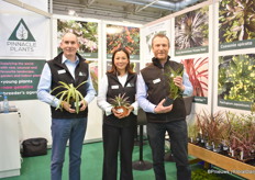 The team of Pinnacle Plants International with Ed Marley holding Agapanthus praecox ‘Zambezi’, Stephanie Yapp holding Yucca desmetiana ‘Purple Rain’, and Kevin Hobbs holding Carex nodosa ‘Kurofune’.